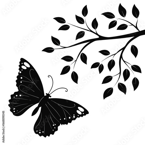 black and white butterfly
