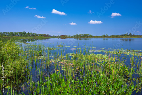 East River Pool is a haven for birdwatching, wildlife observation, and nature photography. Visitors may spot alligators, wading birds, raptors, black bears, bobcats, otters, and a variet fish species.