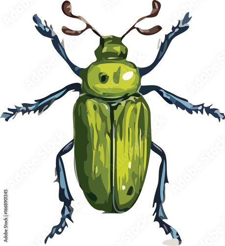 Insect vector art