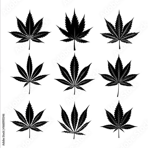 vector black cannabis leaf siluette easy to vectorize.