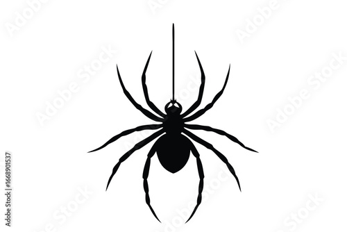 Silhouette of a hanging spider with long legs on a white background