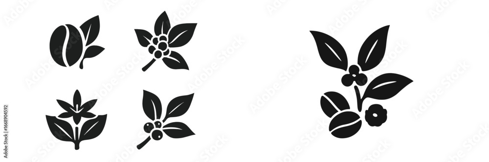 Fototapeta premium Coffee Plant Branches with Beans and Berries, Minimalist flat design