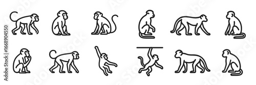 Monkey Poses and Actions Collection, Minimalist flat design