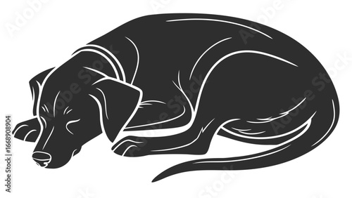 Illustration of a black labrador retriever curled up and sleeping peacefully on a white background artfully done