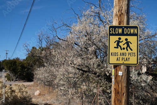 Slow Down Kids and Pets at Play Sign in Neighborhood