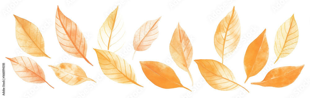 Obraz premium PNG Autumn leaves as divider watercolor pattern herbal plant.