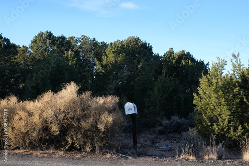 Lone Mailbox in Country Neighborhood