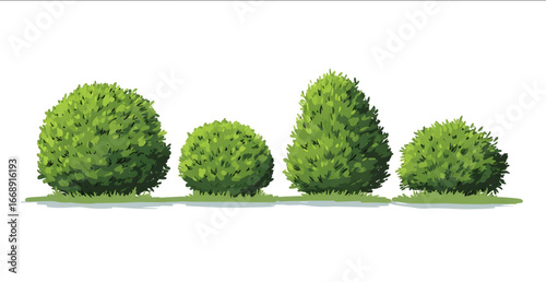 simple 2d cartoon of bushes on a white background.