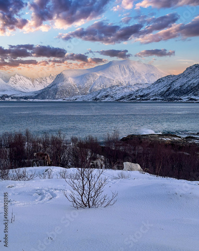 beautiful landscapes in Norwegian Lapland