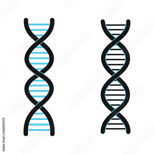 dna double helix structure illustration with colorful strands on white background