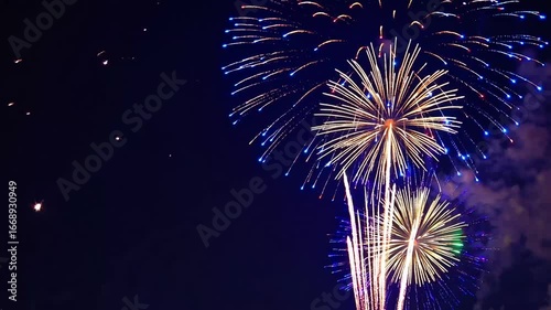 vertically composed graph capturing pyrotechnic display celebrating Independence Day in the location of Hilo, Hawaii