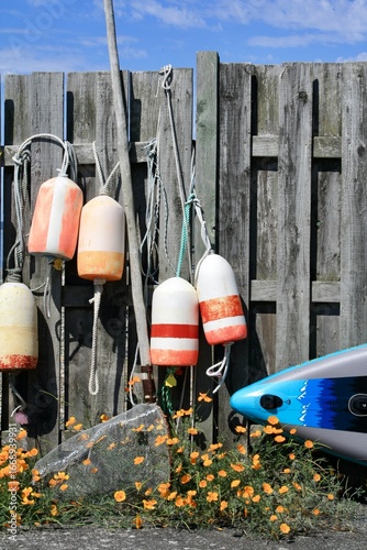 crab pot floats, paddle board, and california poppies