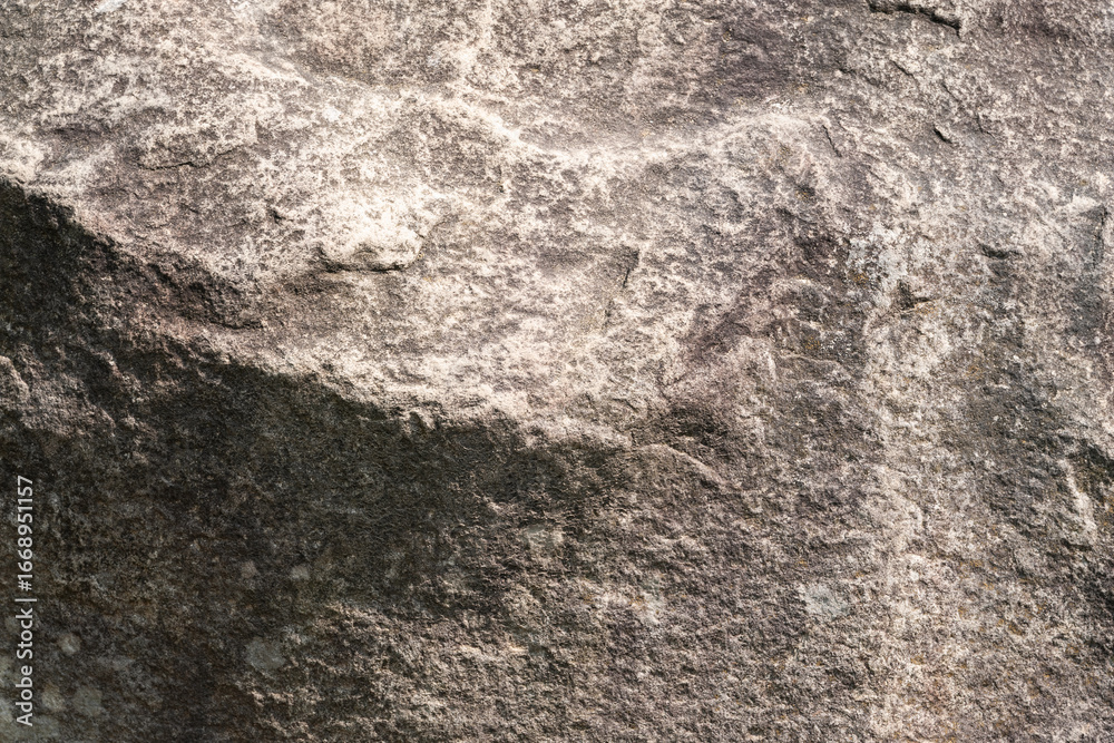 Obraz premium Generated image