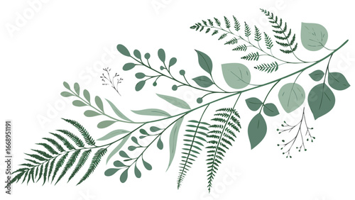 green botanical foliage collection watercolor leaves ferns eucalyptus elements isolated on white background.