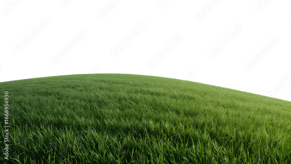 Obraz premium Rolling Meadow's Lush Embrace: A serene, sun-drenched field of vibrant green grass, gently undulating towards the clear sky. Its texture invites a feeling of peace.