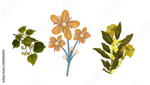 Charming botanical illustrations featuring delicate linden branches, vibrant stylized blooms, and detailed yellow wildflowers, perfect for nature-inspired designs