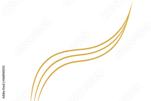 A vector illustration featuring a white background design with opulent golden-effect elements