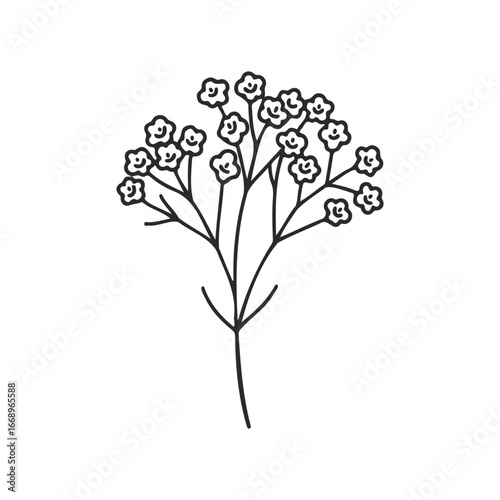 Minimalist black and white baby's breath flower illustration