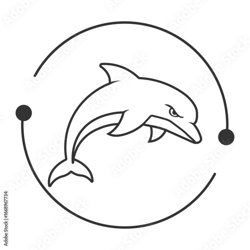 dolphin vector 
