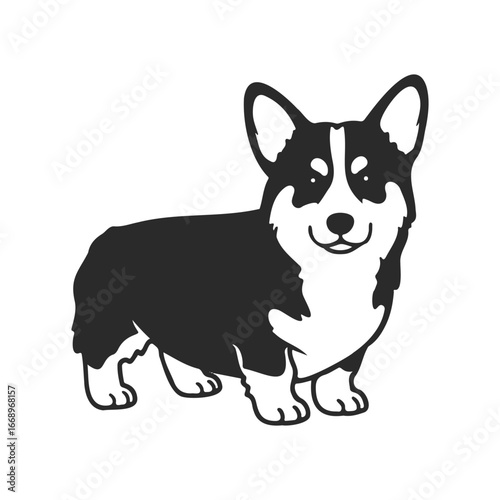 Adorable black and white corgi illustration with happy expression