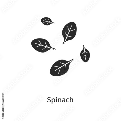 Illustration of spinach leaves with stylized veins on white background
