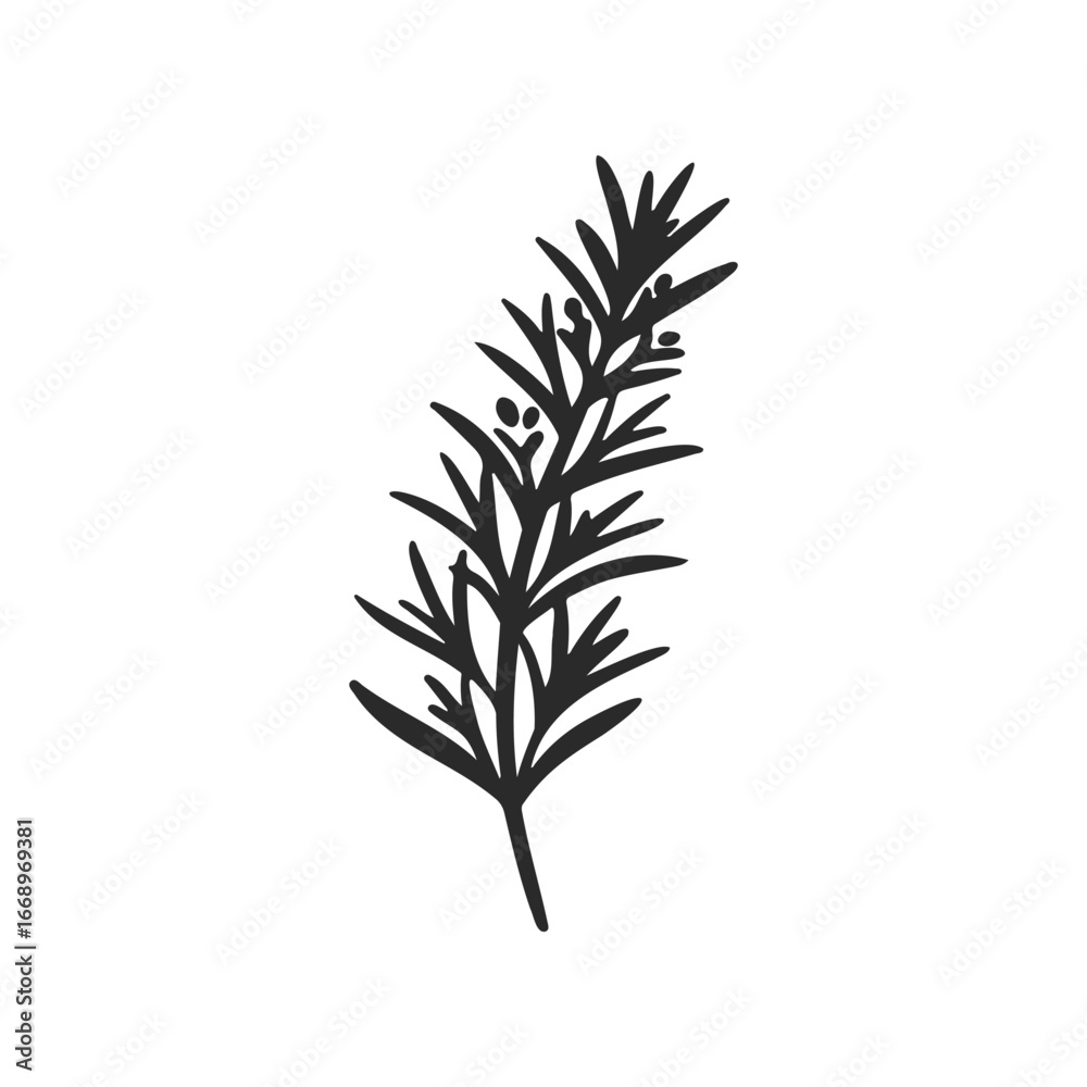 Fototapeta premium Simple black and white abstract rosemary herb illustration