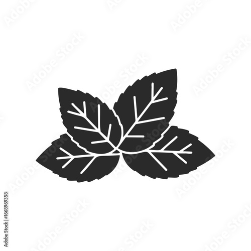 Black mint leaves silhouette on white background