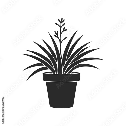 Monochrome potted plant silhouette with blooming spike on white background