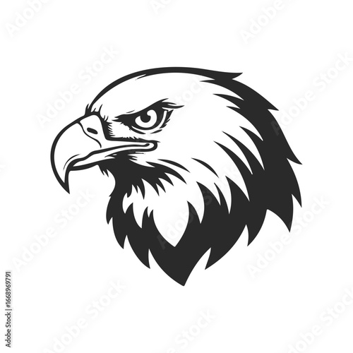 Monochrome illustration of eagle head in profile view