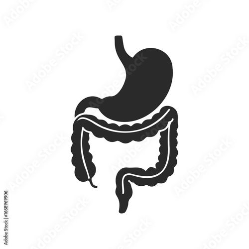 Icon of human digestive system: stomach and intestines illustration