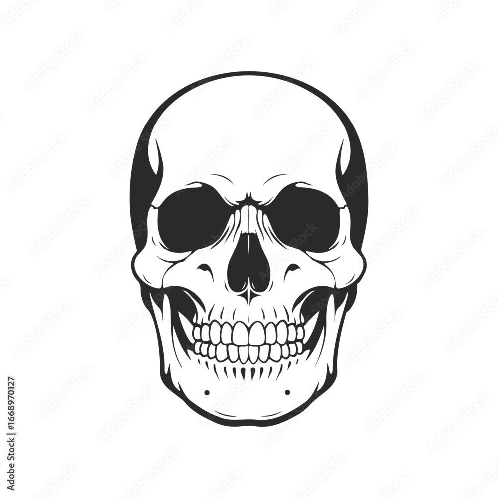 Fototapeta premium Detailed black and white skull illustration on white background