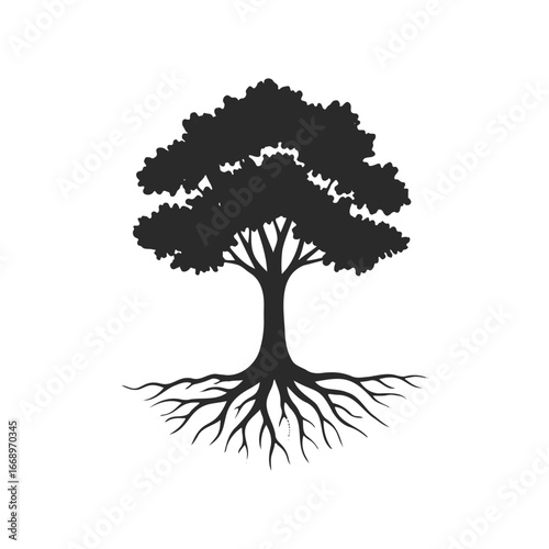 Silhouette of a tree with expansive roots on white background