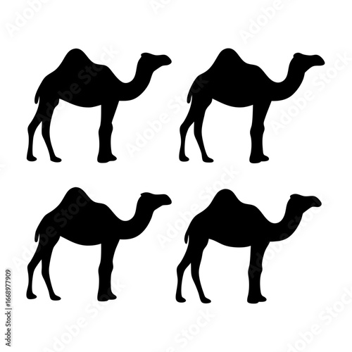 Four silhouette renderings of camels standing against a plain white backdrop