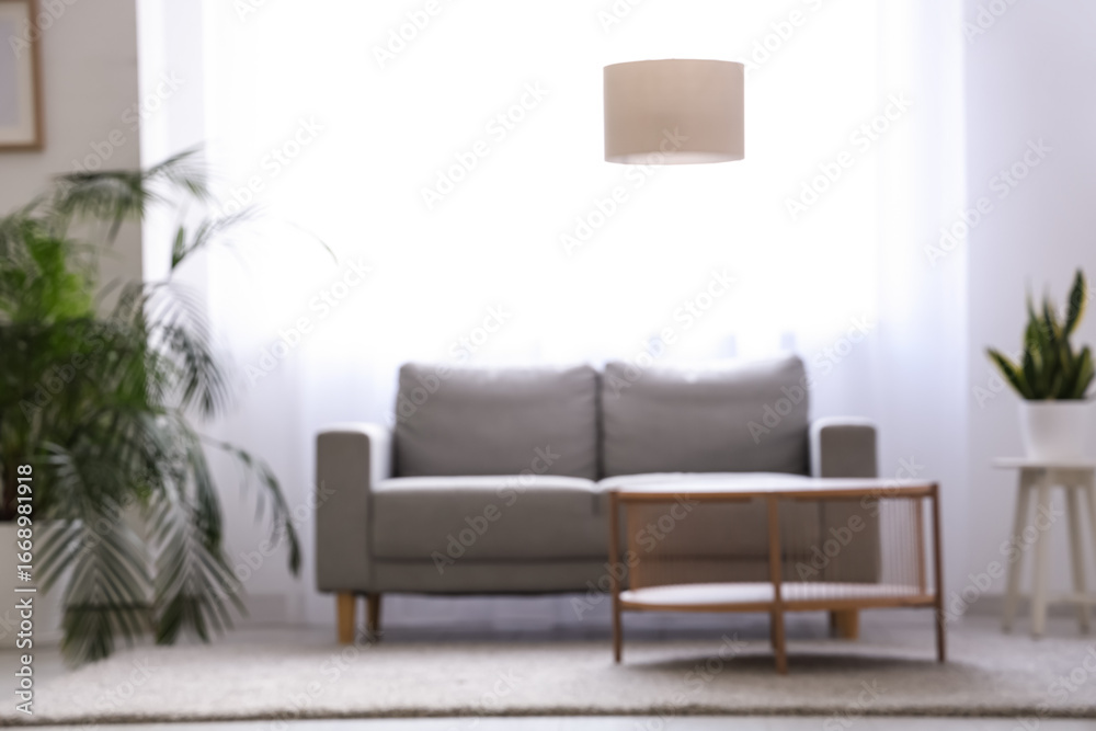Fototapeta premium Interior of stylish living room with grey sofa, table and light curtains