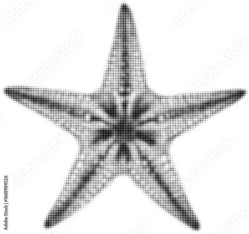 Halftone black and white starfish illustration with dotted texture detail. Vector illustration