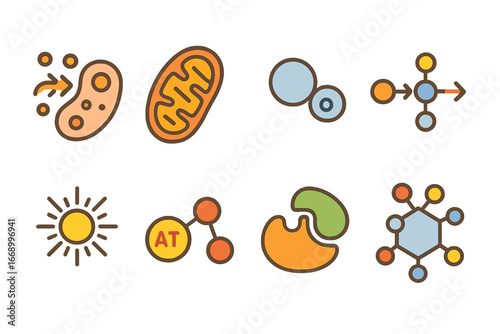Colorful Biology Icons. Flat vector mini-illustrations redox in biology in colors children's illustrations: cellular respiration,