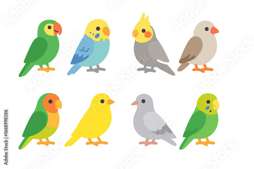 Colorful Pet Birds Icons. Flat vector mini-illustrations pet birds in colors children's illustrations: parrot, budgie, cockatiel,