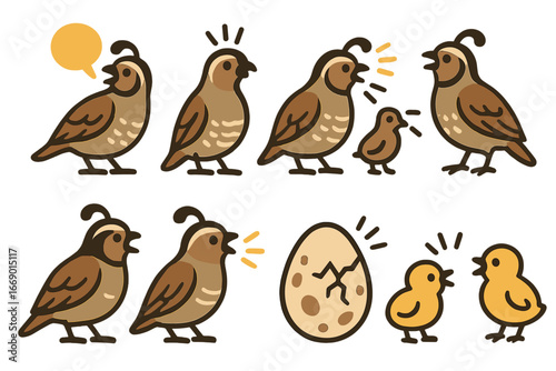 Quail Sounds Icons. Flat vector mini-illustrations quail sounds in colors children's illustrations: quail call, quail alarm, quail