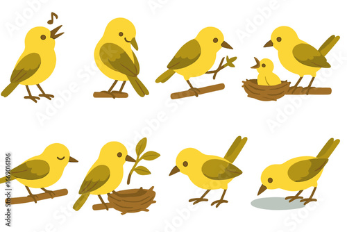 Warbler Behaviors Icons. Flat vector mini-illustrations warbler behaviors in colors children's illustrations: warbler singing,