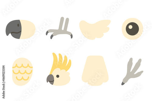 Cockatoo Anatomy Illustrations. Flat vector mini-illustrations bird anatomy in colors children's illustrations: cockatoo beak,