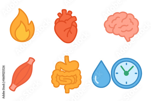 Colorful Metabolism Icons. Flat vector mini-illustrations metabolism in colors children's illustrations: flame, heart, lungs,