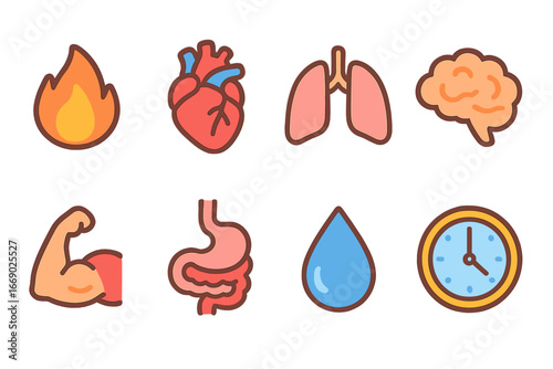Colorful Metabolism Icons. Flat vector mini-illustrations metabolism in colors children's illustrations: flame, heart, lungs,