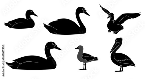 Silhouette Collection of Waterbirds Including Duck, Swan, Seagull, and Pelican