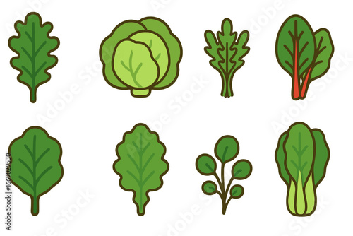 Leafy Greens Icons. Flat vector mini-illustrations leafy greens in colors children's illustrations: kale leaf, lettuce head,