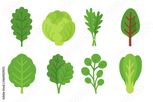 Leafy Greens Icons. Flat vector mini-illustrations leafy greens in colors children's illustrations: kale leaf, lettuce head,