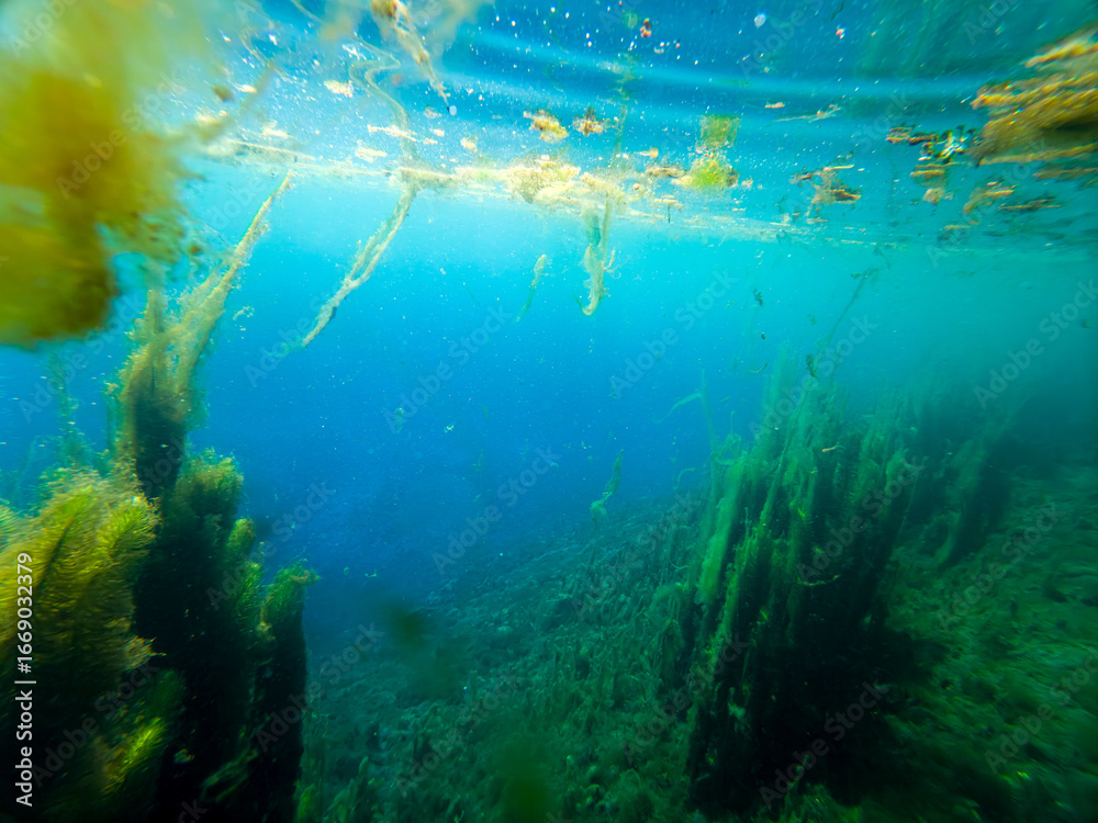 Fototapeta premium Immersione nel lago diposta Fibreno, Frosinone