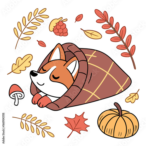 Harvest Blessings colored Corgi with a Sleepy touch, placed in a Thanksgiving theme and styled with wrapped in a blanket