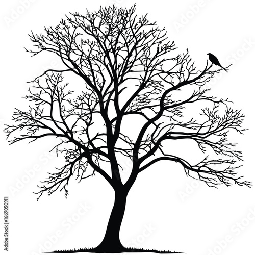Tree branches forming frozen jewel silhouette