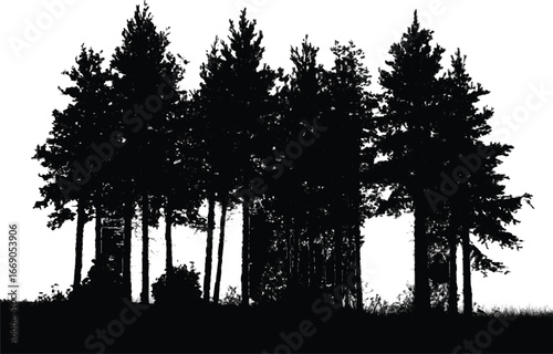 minimalist high contrast vector illustration of conifer trees silhouette on grassy hill background
