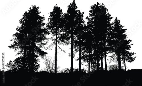 high contrast conifer forest silhouette vector art on elevated terrain with grass and shrubs minimal style background